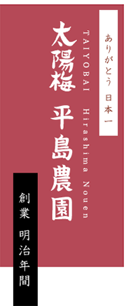 ありがとう日本一 太陽梅　平島農園　創業明治年間